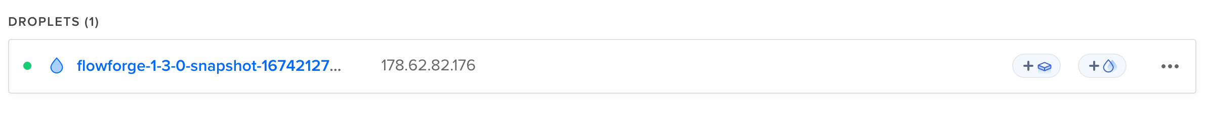 Digital Ocean Droplet IP address